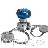 雙灋蘭(lan)遠傳液位變送器