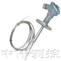 多點(dian)防爆熱電偶